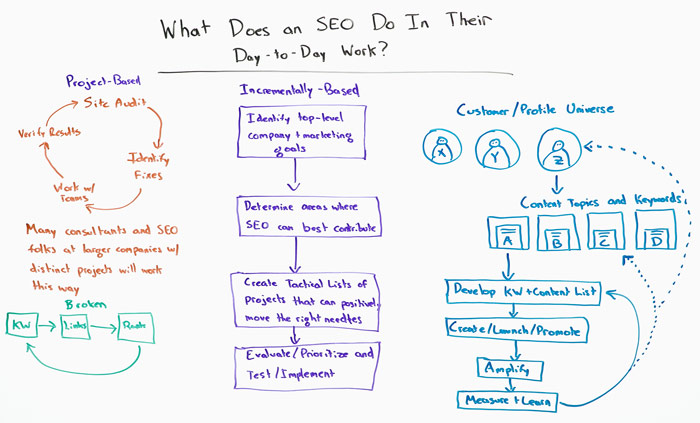 What Does an SEO Do In Their Day-to-Day Work - Whiteboard Friday - Moz