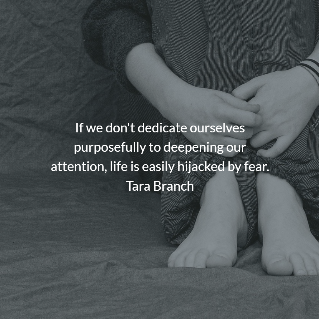 If we don't dedicate ourselves purposefully to deepening our attention, life is easily hijacked by fear. Tara Branch